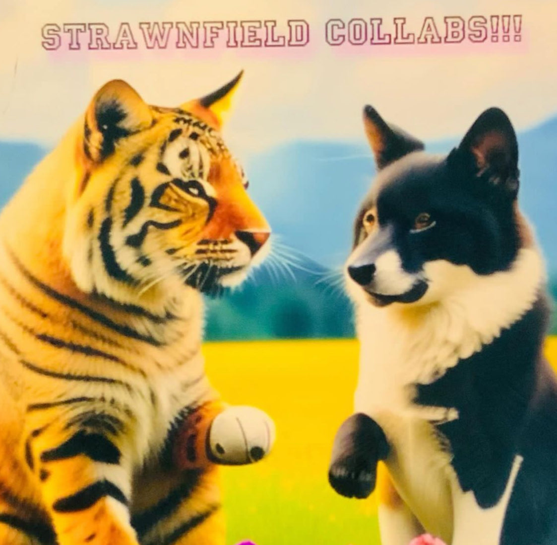 Strawnfield Collabs